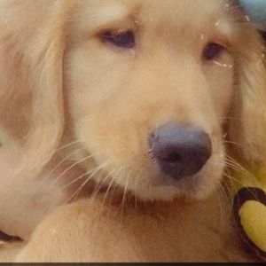 Meet your Posher, Rewati